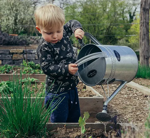 Community Garden